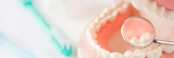 コラム:藤尾歯科医院の定期健診、歯のクリーニングって何をするの?初めてのメンテナンスの流れをやさしくご紹介